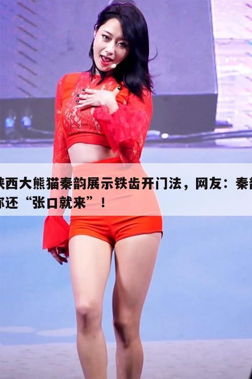 陕西大熊猫秦韵展示铁齿开门法，网友：秦韵你还“张口就来”！  第1张