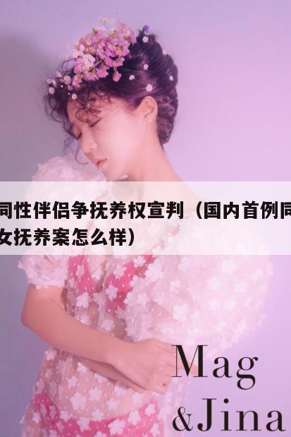 首例同性伴侣争抚养权宣判（国内首例同性伴侣子女抚养案怎么样）  第1张