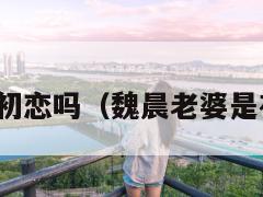 魏晨老婆是初恋吗（魏晨老婆是初恋吗图片）  第1张