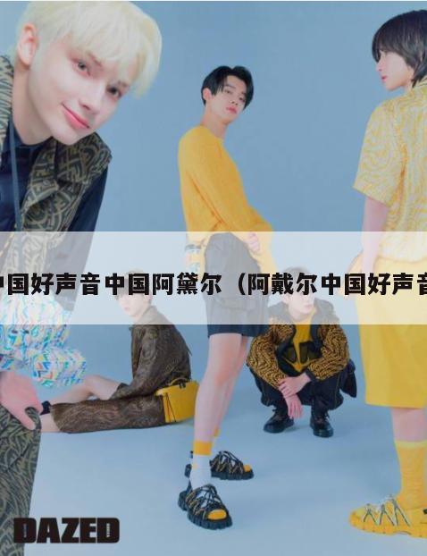 中国好声音中国阿黛尔（阿戴尔中国好声音）  第1张