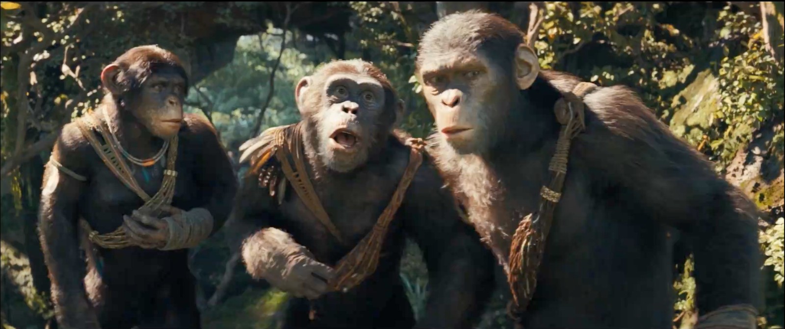 《猩球崛起4：新世界》7分钟加长版片段曝光  第5张