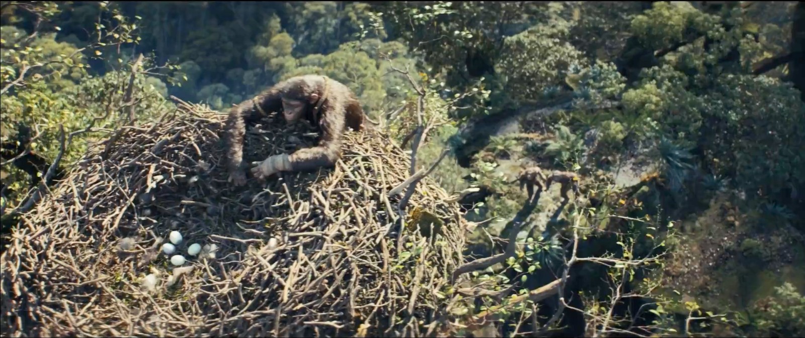 《猩球崛起4：新世界》7分钟加长版片段曝光  第6张