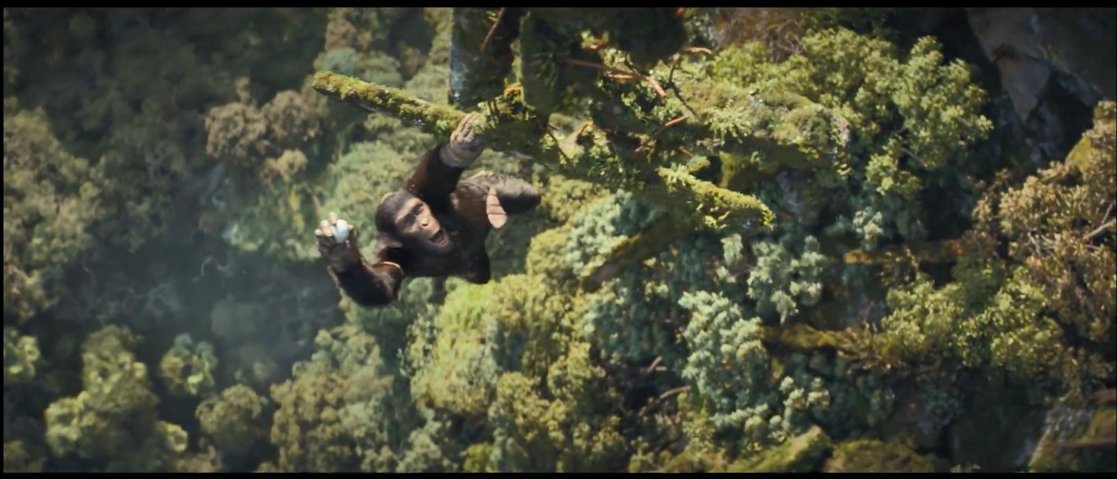 《猩球崛起4：新世界》7分钟加长版片段曝光  第7张