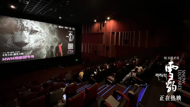 万玛才旦高口碑电影《雪豹》路演 影片价值表达获观众盛赞  第2张