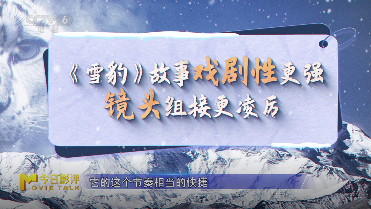 《雪豹》：多重视角下，对人与自然的深刻思考  第10张