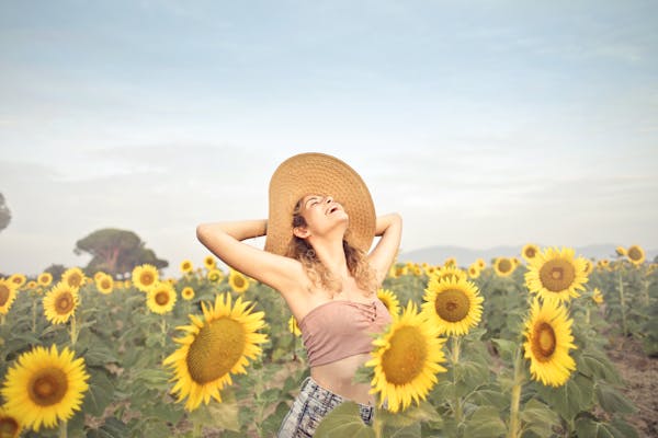 2019 年电视剧盛宴揭晓：终极排行榜震撼出炉  第2张