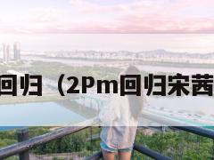 2pm回归（2Pm回归宋茜去看）  第1张