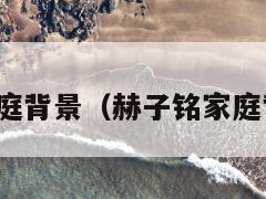 赫子铭家庭背景（赫子铭家庭背景介绍）  第1张