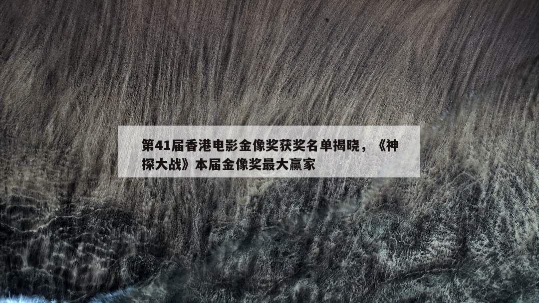 第41届香港电影金像奖获奖名单揭晓，《神探大战》本届金像奖最大赢家  第1张