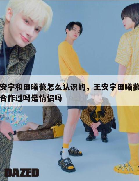 王安宇和田曦薇怎么认识的，王安宇田曦薇两人合作过吗是情侣吗  第1张