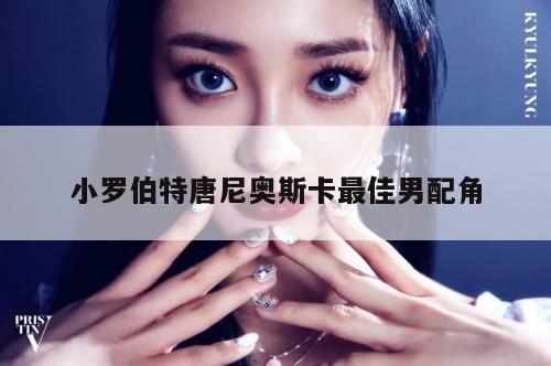 小罗伯特唐尼奥斯卡最佳男配角  第1张