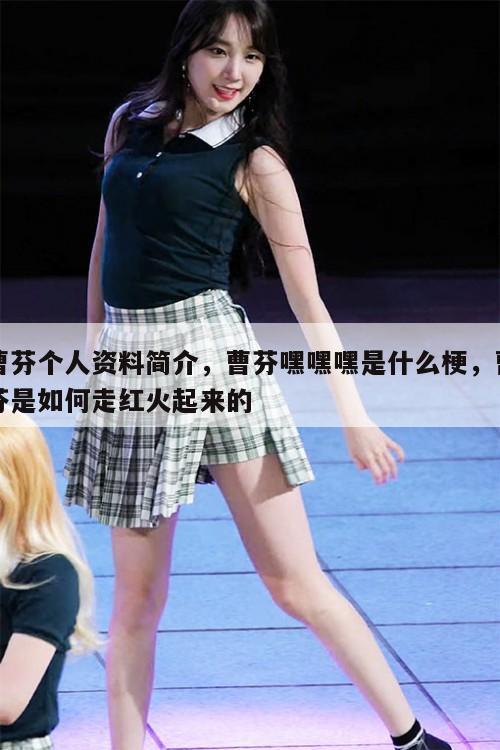 曹芬个人资料简介，曹芬嘿嘿嘿是什么梗，曹芬是如何走红火起来的