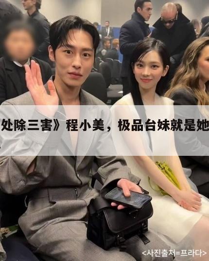 《周处除三害》程小美，极品台妹就是她这样的吧  第1张