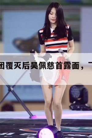 纪犯罪集团覆灭后吴佩慈首露面，飞日本看演唱会  第1张