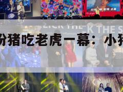 动物园惊现扮猪吃老虎一幕：小猪趴在老虎肚子上睡觉！  第1张