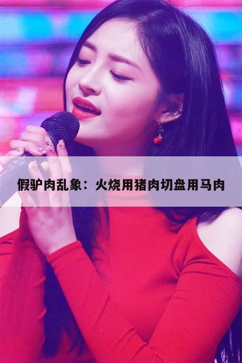 假驴肉乱象：火烧用猪肉切盘用马肉  第1张