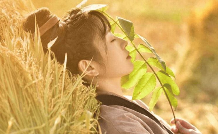 95花新格局:有人黑红出圈,有人黯然退出 第7张 95花新格局:有人黑红出圈,有人黯然退出 第7张