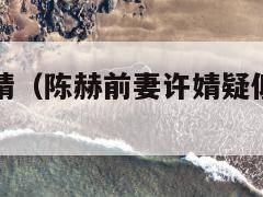 陈赫前妻许婧（陈赫前妻许婧疑似公开新恋情）  第1张