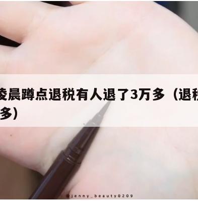 网友凌晨蹲点退税有人退了3万多（退税退了3000多）  第1张