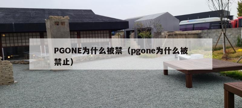 PGONE为什么被禁（pgone为什么被禁止）  第1张