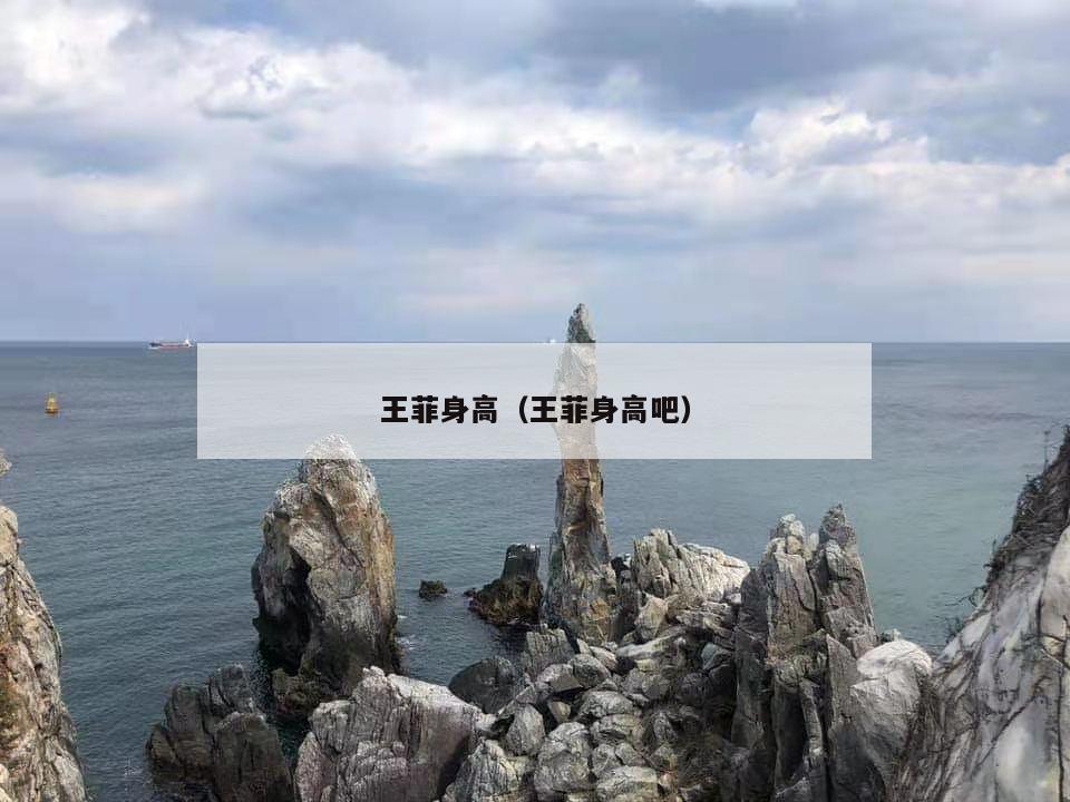 王菲身高（王菲身高吧）  第1张