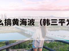 韩三平为什么搞黄海波（韩三平为什么害黄海波）  第1张