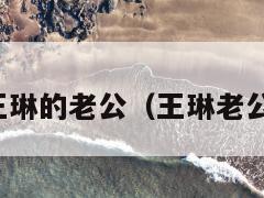 演员王琳的老公（王琳老公简历）  第1张