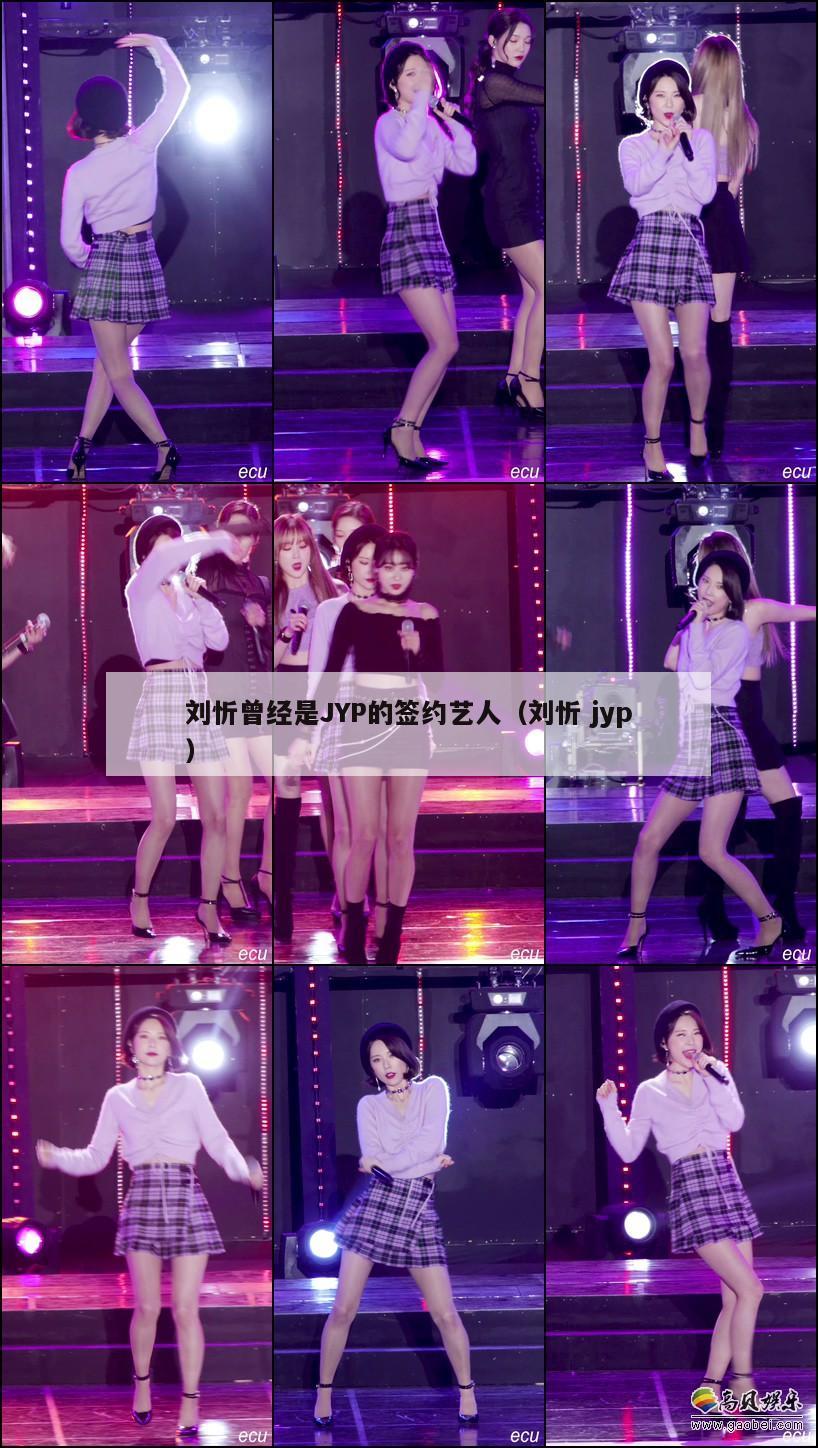 刘忻曾经是JYP的签约艺人（刘忻 jyp）  第1张