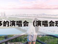 人数最多的演唱会（演唱会现场·cn）  第1张