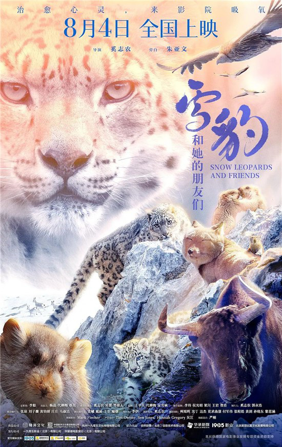《雪豹和她的朋友们》:自然与人类映照的影像探索  第1张